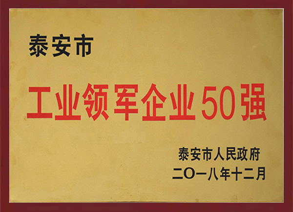 泰安市工業領軍企業50強